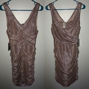Rose Gold Express Dress